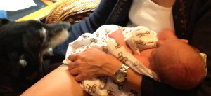 Boo meets Indy
