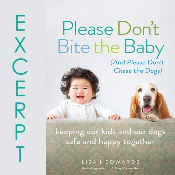 Book Cover excerpts Please Don't Bite the Baby
