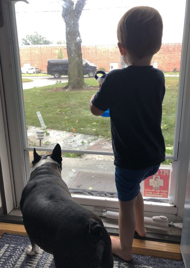 boy and his dog looking out the window